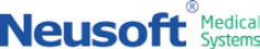 Neusoft